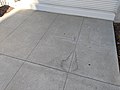 Water stain on concrete.jpg