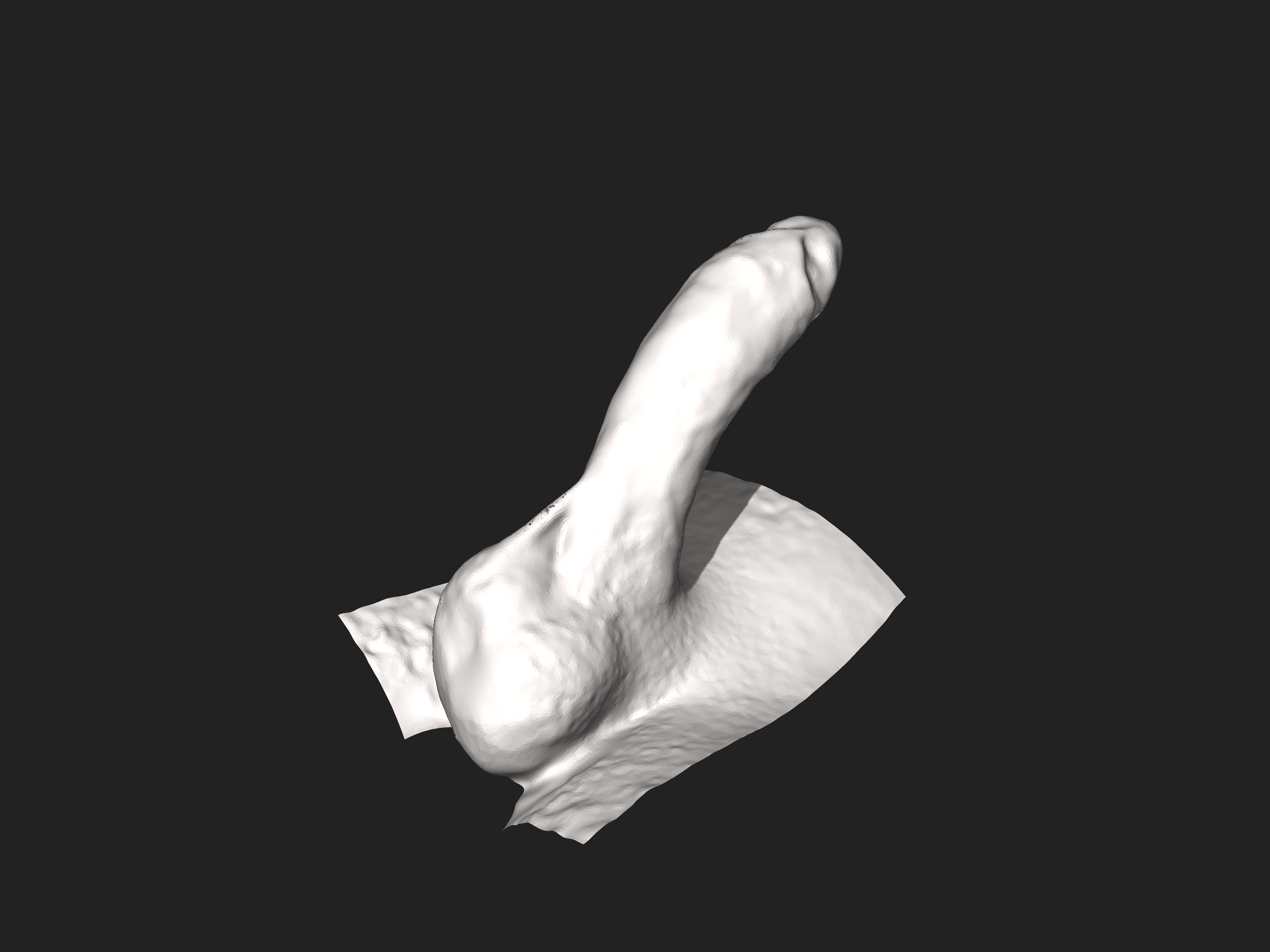 STL file penis weights・3D printing design to download・Cults