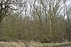 Weaveley Wood 3.jpg