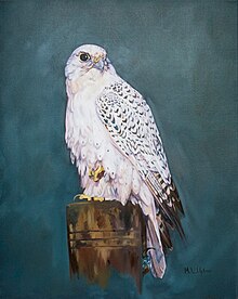 A white gyrfalcon White Gyr on Block P1144.jpg