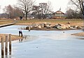 2010年6月2日 (水) 21:40時点における版のサムネイル