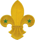 Thumbnail for Fleur-de-lis in Scouting