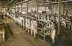 Work in canneries was segregated by race and gender. Women in this picture are cleaning fish and using the innovation of conveyors. Women working in a cannery.jpg