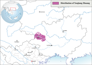 <span class="mw-page-title-main">Youjiang Zhuang</span> Language spoken in Tiandong County, China