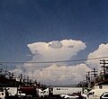 Young cumulonimbus incus