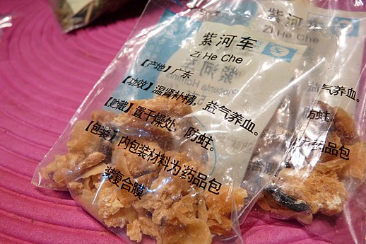 Ziheche (紫河車), or Human placenta, as medicine, China