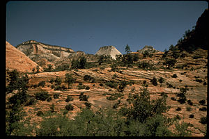 Zion National Park ZION2437.jpg