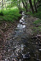 Erster Zufluss des Wildenrother Mühlbachs vom Rainberg unterhalb von Schloss Wildenroth