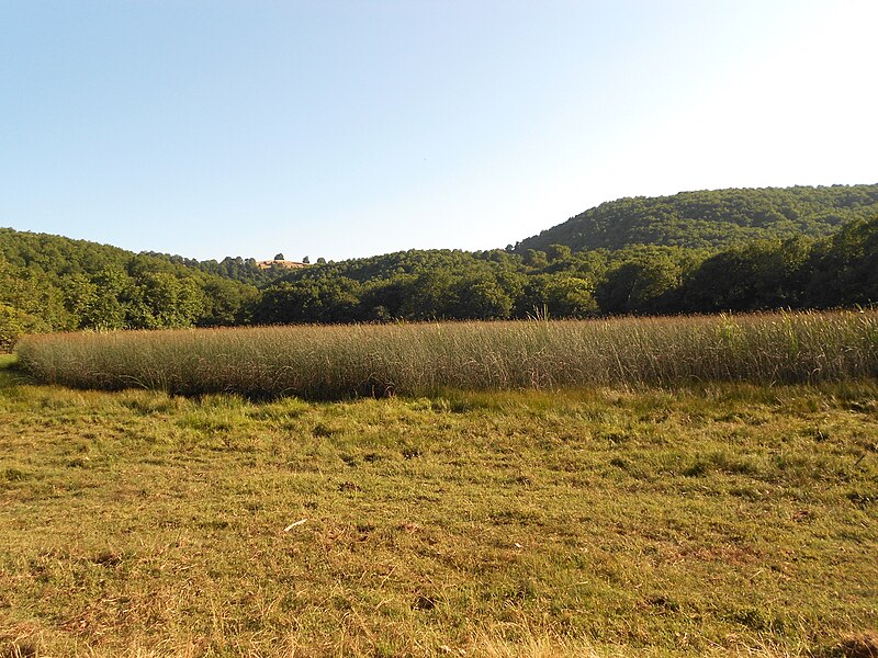 File:Περιοχή Μεγάλη Σβάλα, όρος Τελέθριο, Εύβοια.jpg