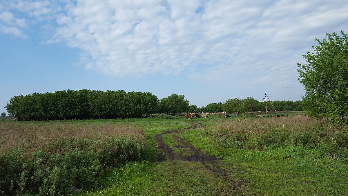 Село высокое Саратовская область. Село Устиновка.