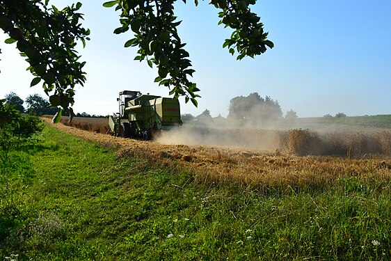 Harvest