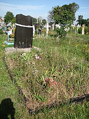 Загальний вигляд братської могили воїнів УПА у с. Дядьковичі.jpg