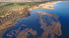 Photographie aérienne d'un rivage d'une zone lacustre. Au premier plan, les bas-fonds du lac sont recouverts partiellement de plantes aquatiques, tandis qu'après la berge, de hauts arbres de la taïga s'élèvent.