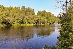 Zwarte rivier in de middenloop