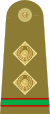 09.Pakistan Army -MCWO.svg 