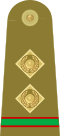 09.Pakistan Army-MCWO.svg