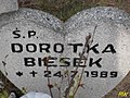 image=http://commons.wikimedia.org/wiki/File:18_Biesek_Dorotka.jpg