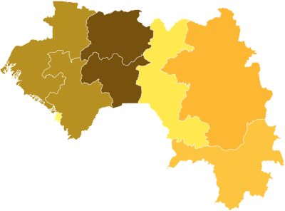 Elecciones presidenciales de Guinea de 2010