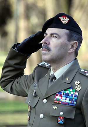 General Salvatore Farina: Italienischer General