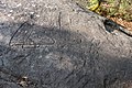 * Nomination Petroglyphs in Conxo, Santiago de Compostela, Galicia (Spain). --Lmbuga 08:18, 9 September 2017 (UTC) * Promotion Good quality. --Jacek Halicki 08:44, 9 September 2017 (UTC)