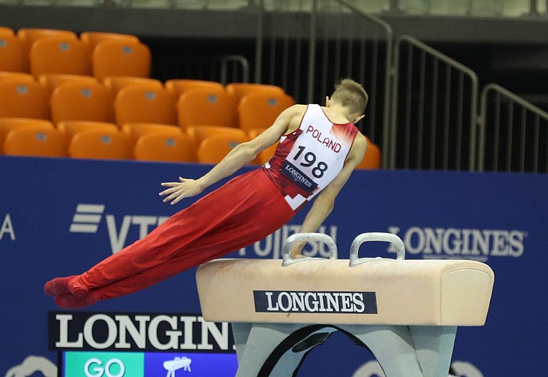 File:2019-06-27 1st FIG Artistic Gymnastics JWCH Men's All-around competition Subdivision 3 Pommel horse (Martin Rulsch) 256.jpg