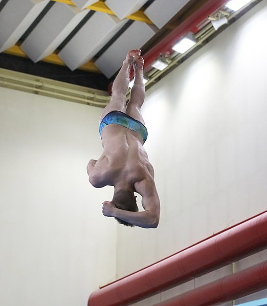 File:2020-01-25 47. Hallorenpokal Training Men (Martin Rulsch) 077.jpg