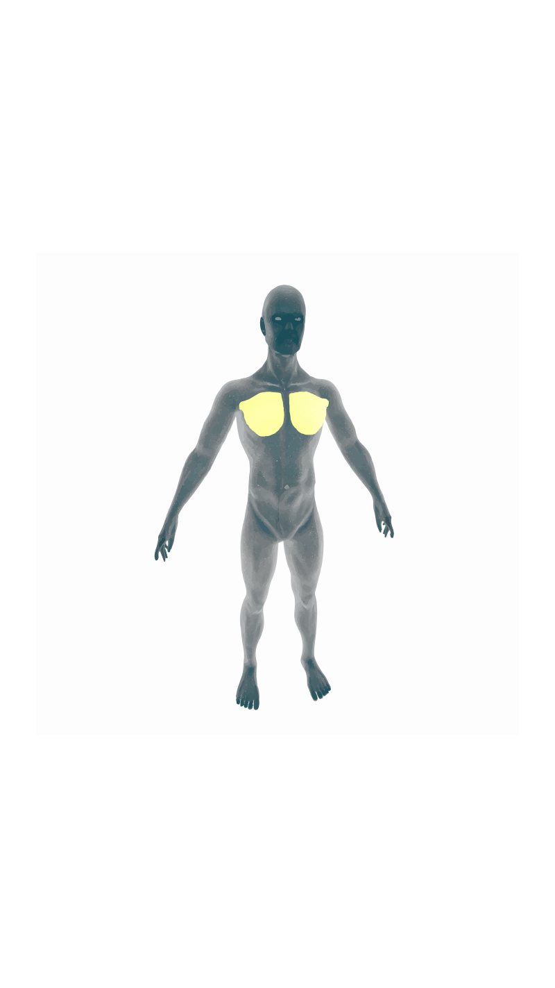 Pectoralis major muscle png images