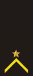 Золотая звезда над золотым шевроном. 