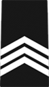 Army JROTC Sergeant Insignia