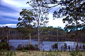 Gunung Lagoon