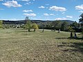 A Homoki temető a Felső-hegy felé nézve, 2017 Mór.jpg