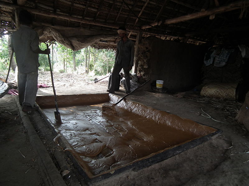 File:A Snap from Jaggery preparation from Marayoor 6219.JPG