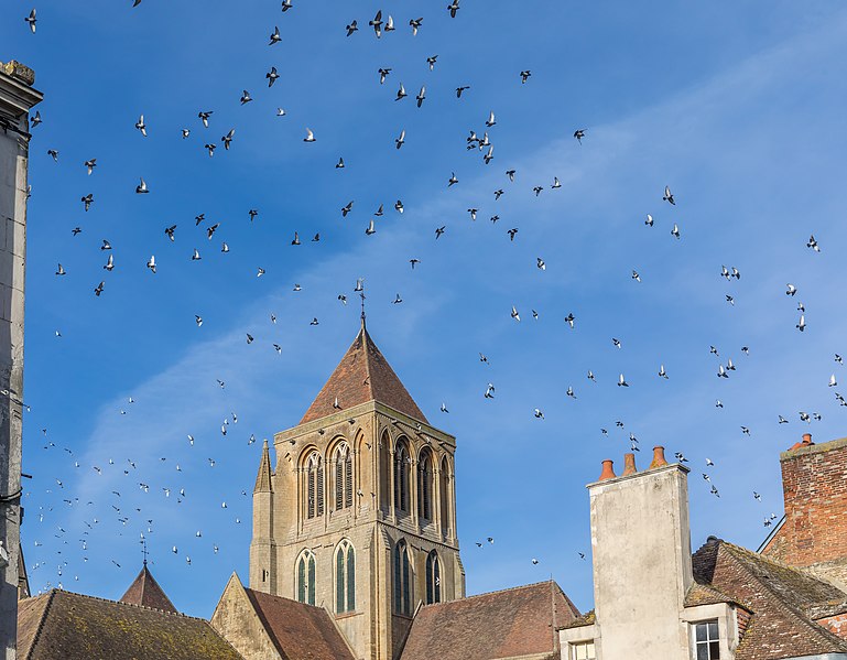 File:Abbaye de Saint-Pierre-sur-Dives-2794.jpg