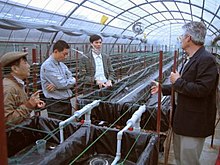 Aeroponic greenhouse for potato minituber product Hanoi 2006 Aeroponic-greenhouse-Vietnam-2006.jpg