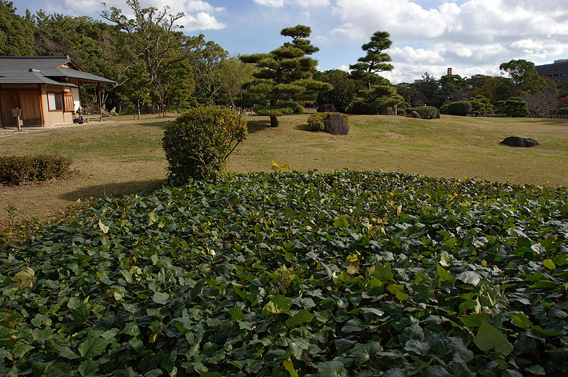 File:Akashi Castle30n4592.jpg