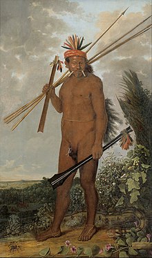 Brazilian Indian warrior (Tarairiu), Albert Eckhout. Albert Eckhout - Tarairiu Man - Google Art Project.jpg