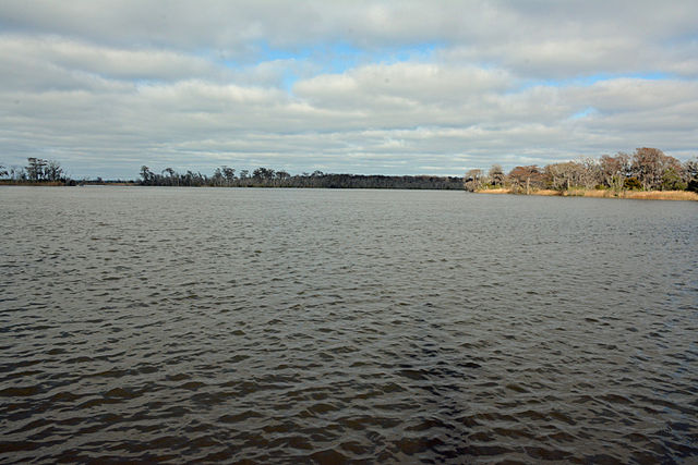 Altamaha River looking towards the Atlantic Ocean