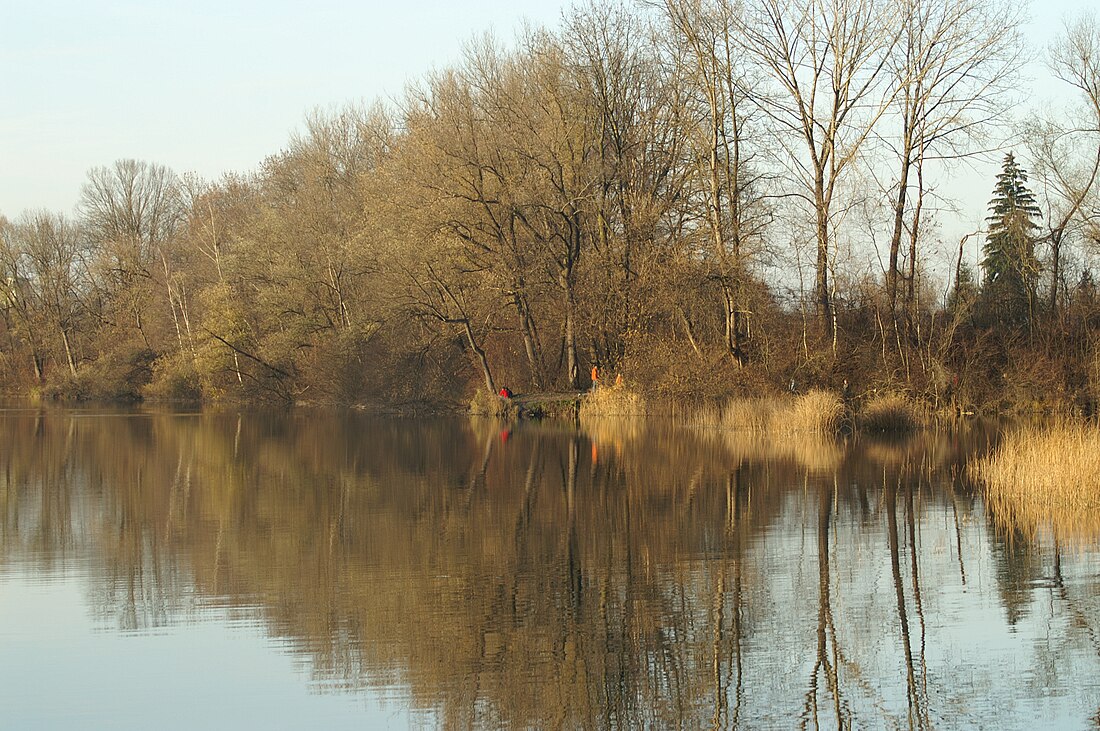 Alter Rhein