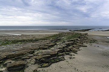 La plage à marée basse.