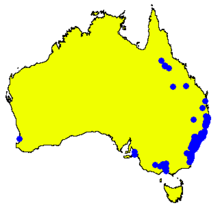 Angophora costata DistMap.png 