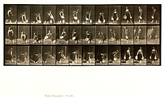 Animal locomotion. Plate 234 (Boston Public Library).jpg
