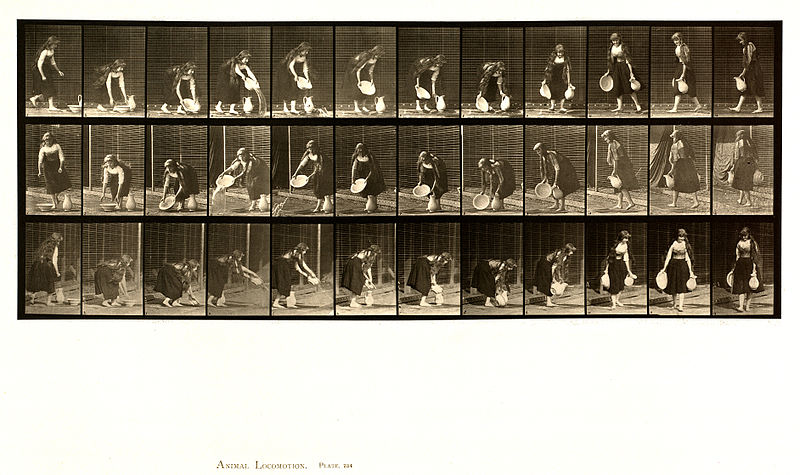 File:Animal locomotion. Plate 234 (Boston Public Library).jpg