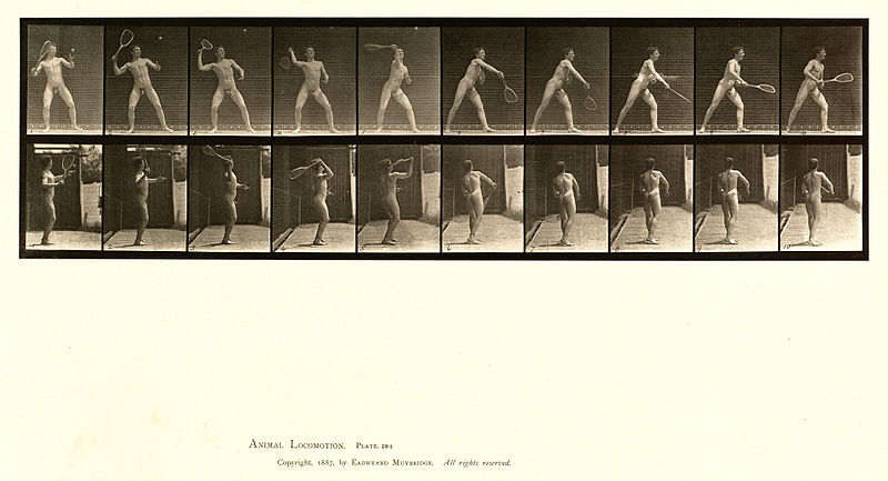 File:Animal locomotion. Plate 294 (Boston Public Library).jpg