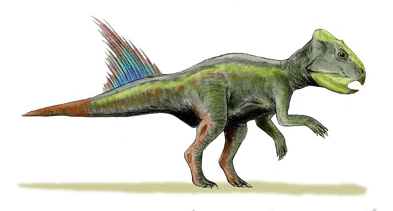 File:Archaeoceratops BW.jpg