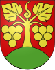 Bühl - Stema