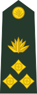 Bangladesh Army: Brigadier general