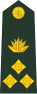 File:Bangladesh-army-OF-6.svg