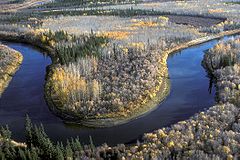 Юкон притоки. Река Юкон. Дельта реки Юкон. Бивер-крик (Юкон). Река Маккензи Канада.