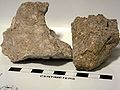 Bishop tuffで採集された標本。左は溶結していない軽石状のもの。右は溶結したものでフィアメ（本質岩片）が見える。