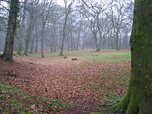 View of the ramparts from inside the site in winter. Blackbury camp inside.JPG